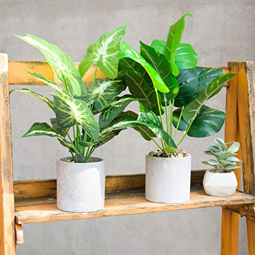 2 Plantas Artificiales En Maceta Para Decoracion En Oficina