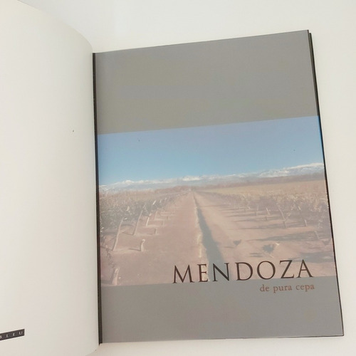 Mendoza De Pura Cepa (g) (Usado)