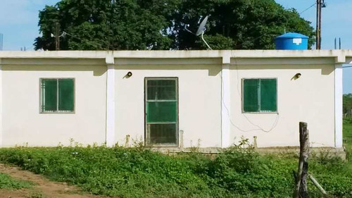Imagen 11 de 16 de Venta Finca En Yaracal Estado Falcón