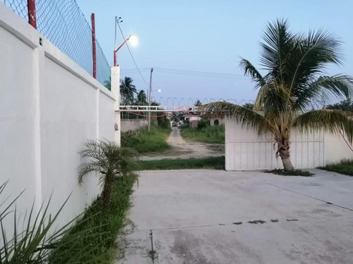Renta Casa Con Alberca 1 Hab Col. Calzada Tuxpan Veracruz