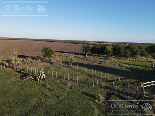 Campo En Venta De 520 Has Mixtas En Entre Rios