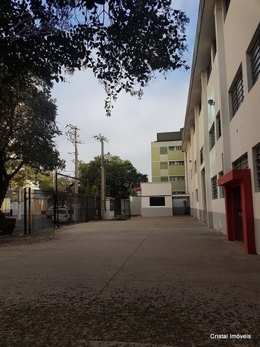 Imagem 6 de 11 de Comercial Para Venda, 0 Dormitórios, Água Branca - São Paulo - 20755