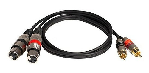 Sísmica Saxmrm-2 X 3 3 Doble Cable Xlr Hembra Un Parche Rca