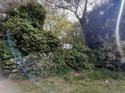 Venta Lote Barrio El Sosiego Reserva Forestal, Mar Del Platacentury 21 Recanatti Ofrece Para La V...