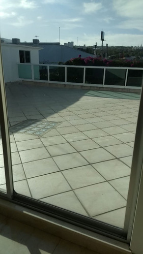 Imagen 18 de 25 de Casa En Venta Jardines De Pedregal