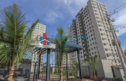 Imagem 1 de 13 de Rua Doutor Antônio Carlos Marçal, Jardim Paulistano, Ribeirão Preto - 43686