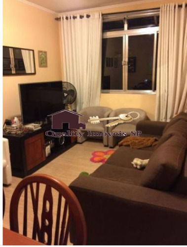 Imagem 3 de 15 de Lindo Apartamento 03 Dormitórios No Paraíso - Qy2577