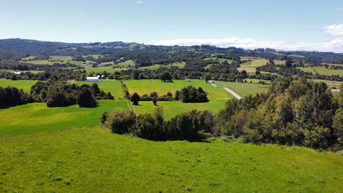 Proyecto Para Inversion En La Región De Los Lagos, Los Muerm