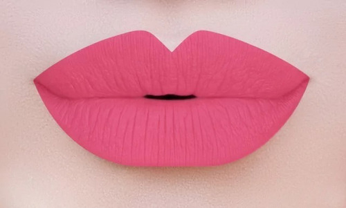Lip Gloss Long Wear Matte Beauty Creations Larga Duracion Color 10 ONLY YOURS