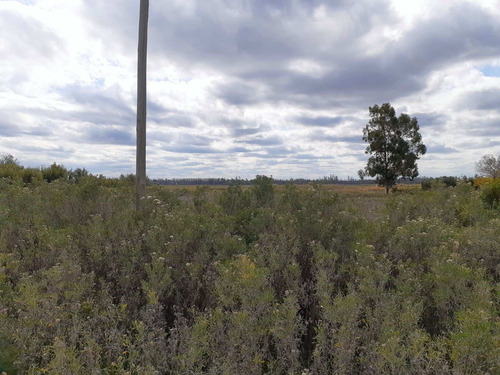 Imagen 9 de 24 de Predio Urbano/rural S. Rafael Las Malvinas Mendoza