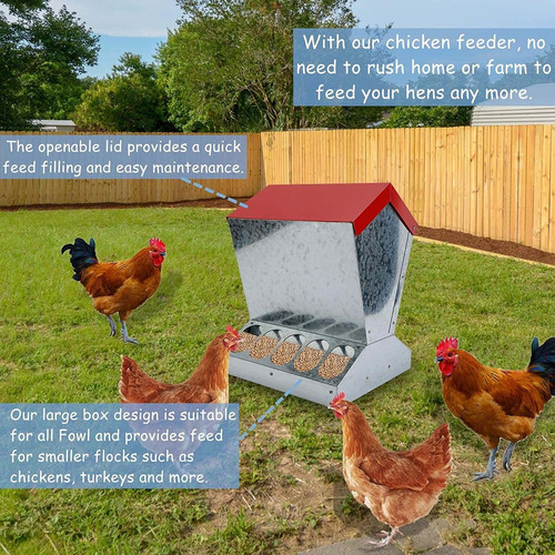 Finderomend Alimentador Automático De Pollos Para Aves De Co