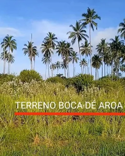Terreno En Boca De Aroa