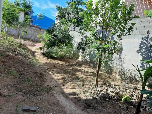 Chácara No Vista Alegre - V4070