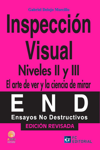Inspeccion Visual, Niveles Ii Y Iii - Del Ojo Morcillo, Gabr