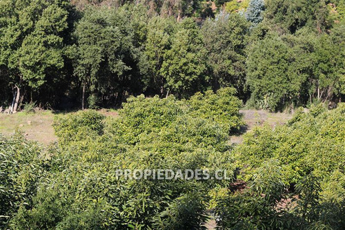 Parcela En Venta En Olmué