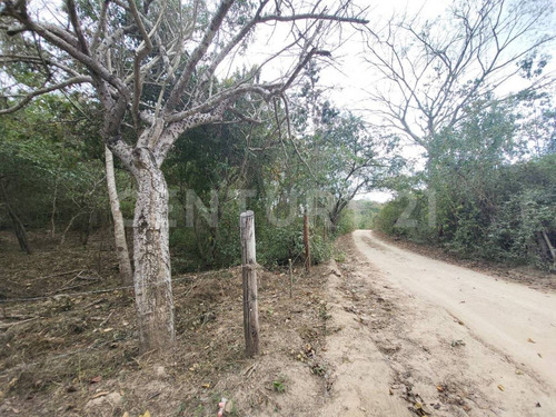 Terreno En Venta En El Faisan, Huatulco, Oaxaca