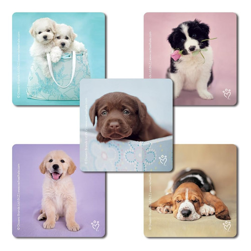 Pegatinas Para Perros Smilemakers Rachael Hale, 100 Por