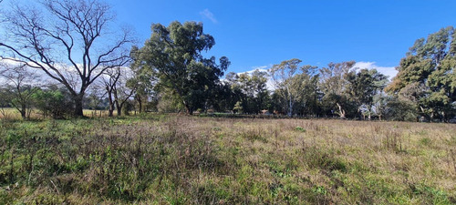 Imagen 10 de 11 de Lote En Pilar. Amplio. Naturaleza. 2.218 M2.