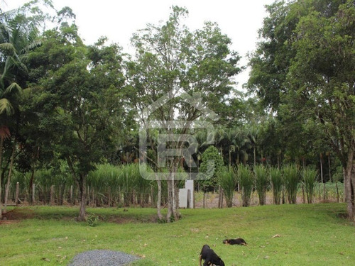 Imagem 12 de 30 de Sitio Com Topografia Plana, Totalmente Limpo, Ótimo Para Plantação Ou Criação De Gados. - 37 - 70344663