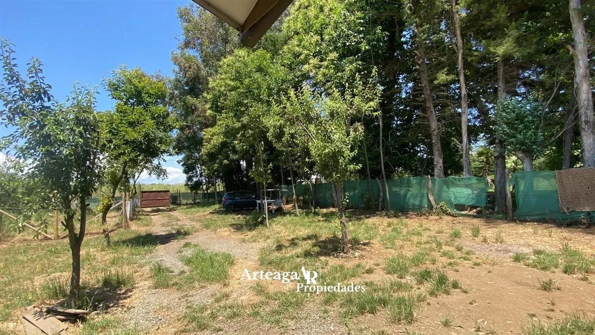 Imagen 5 de 15 de Casa Arriendo 3 Dorm.cam.pinto Chillan, Lautaro, 1 Agosto