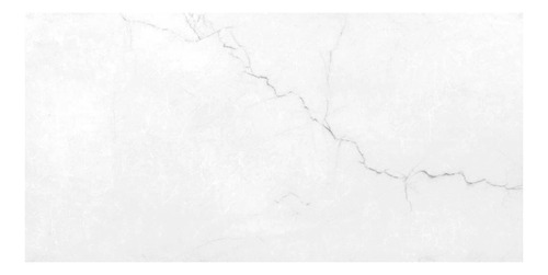 Porcelanato Rectificado Mate 60x120 Marmolado Blanco