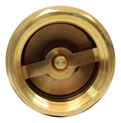 Válvula Retención Agua Bronce 1 Pulgada