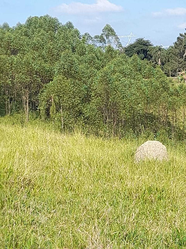 Imagem 1 de 14 de A26- Não Deixe Pra Amanhã Pra Realizar Seu Sonho.