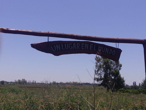 Imagen 2 de 24 de Predio Urbano/rural S. Rafael Las Malvinas Mendoza