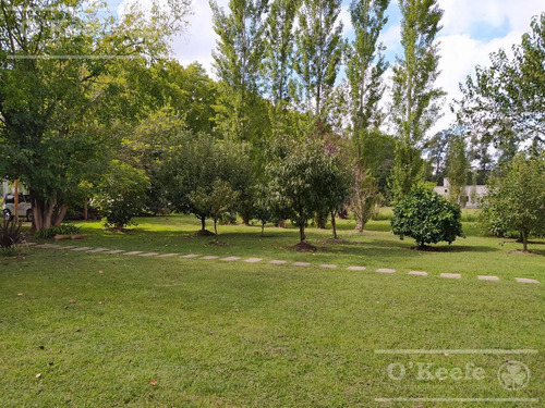 Imagen 3 de 22 de Casa-quinta En Venta Ideal Para Combinar El Trabajo Y El Relax De La Naturaleza - Estancia Las Malvinas - Brandsen