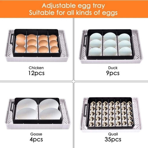 Imagen 10 de 10 de Incubadora Automatica Led Con Ovoscopio Led 40w
