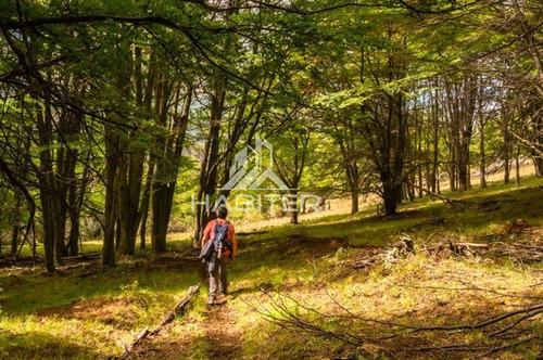 Imagen 13 de 21 de Sitio En Loteo Venta En Cerro Castillo Río Ibáñez Aysen