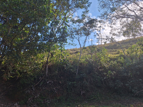 Sitio A Venda; 3.5 Alqueires De Terra No Sítio Tem Mina De Á