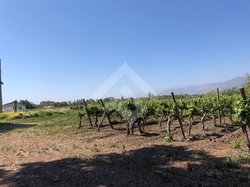 Imagen 3 de 22 de Otros En Venta En Isla De Maipo