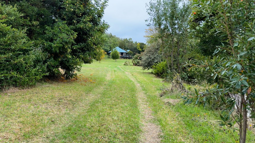 Campo En Maullín Río Astillero Región De Los Lagos
