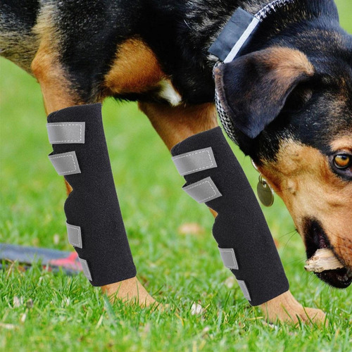 A Juego De 2 Unidades Para Patas Traseras De Perro.