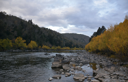 Lonquimay Orilla Río Bío Bío Oportunidad