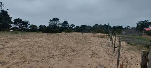 Terreno Muy Alto A La Venta En Punta Del Diablo