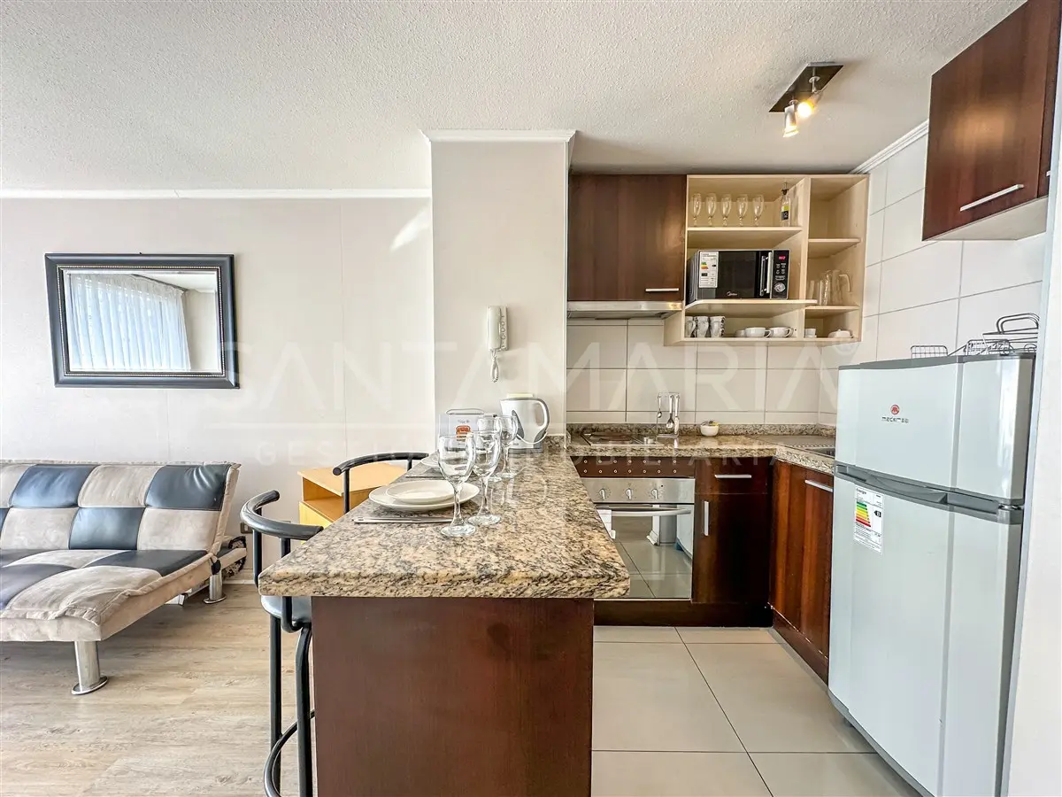 Imagen 4 de 13 de Dpto. En Arriendo 1 Dorm En Orompello, Concepción