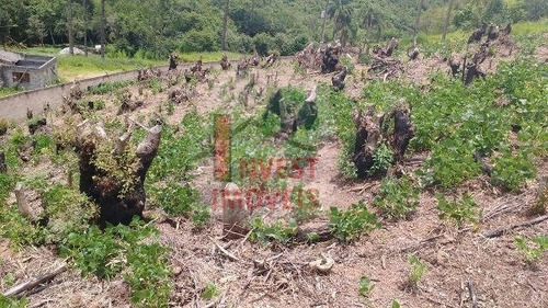 Imagem 1 de 8 de Terreno - Ref: 1770 - V-1770