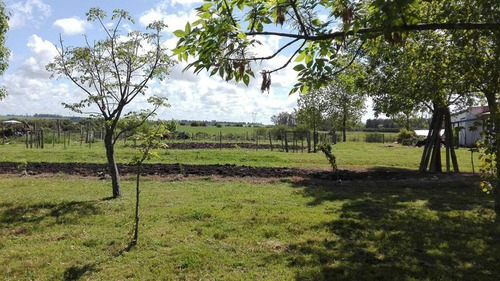 Excelente Campo En Canelones Sobre Ruta 5, 150 Has Agricolas.
