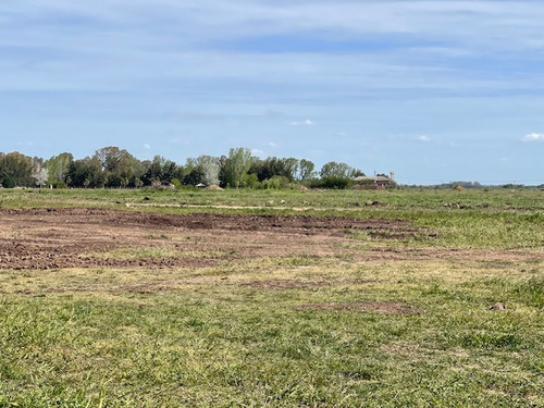 Loteo La Eugenia By Moradas Venta De Lotes Con Amplia Financiacion En Ezeiza