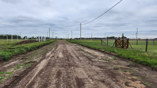 Venta Lote Las Margaritas