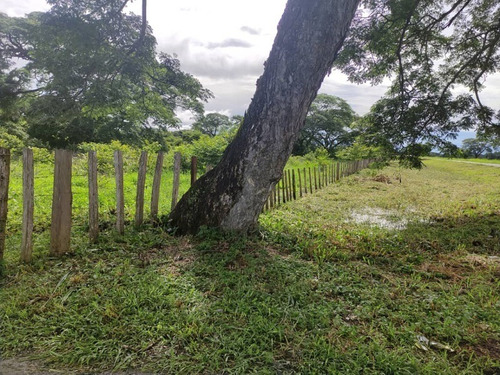 Imagen 8 de 15 de Se Vende Extraordinaria Finca De 1.237 Has. Silvopastoril Y Manufacturera Con Mucho Potencial Representada Por Persona Juridica