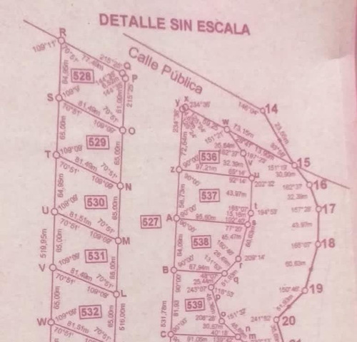 Terreno De 5000 M2 San Francisco Del Monte De Oro Dueño Vende