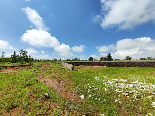 Terreno En Venta En Amealco
