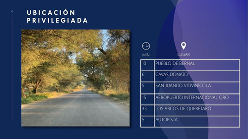 Venta De Terrenos Con Corredor Vinícola En Bernal