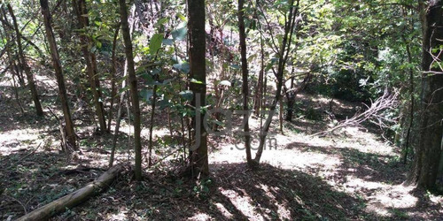 Imagem 2 de 12 de Terreno À Venda, 1690 M²- Morada Das Nascentes (joaquim Egídio) - Campinas/sp - Te2797