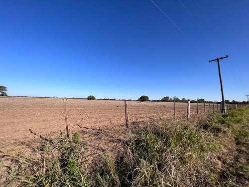 Imagen 5 de 13 de Campo Agricola En Venta , Zona Camino Capilla De Los Remedios Y Ruta 9 Sur , Cordoba , Argentina
