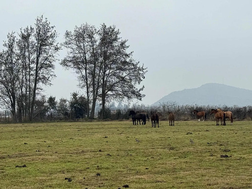 Parcelas En Venta Camino Santa Margarita La Compañia