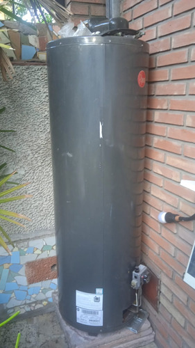 Termotanque Rheem Gas Tgnp150rh Iram Eficiencia A+ Muy Buen Gris Oscuro (Usado)